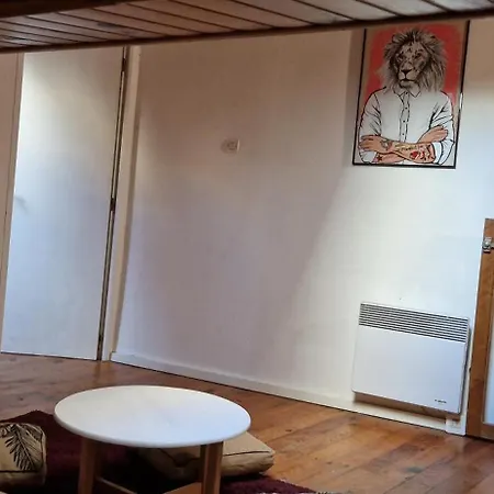 Le Cocon Lyonnais * Lyon