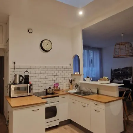 Le Cocon Lyonnais Apartment Lyon