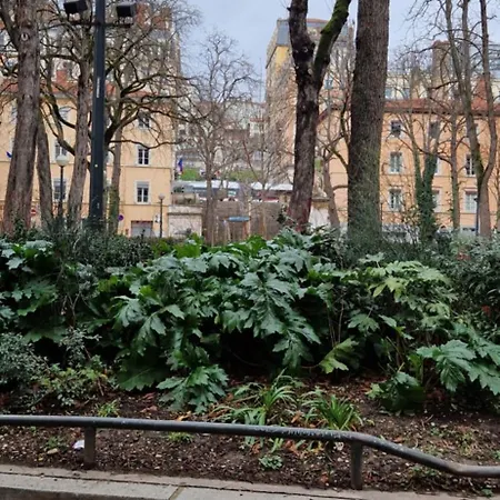 Lägenhet Le Cocon Lyonnais *